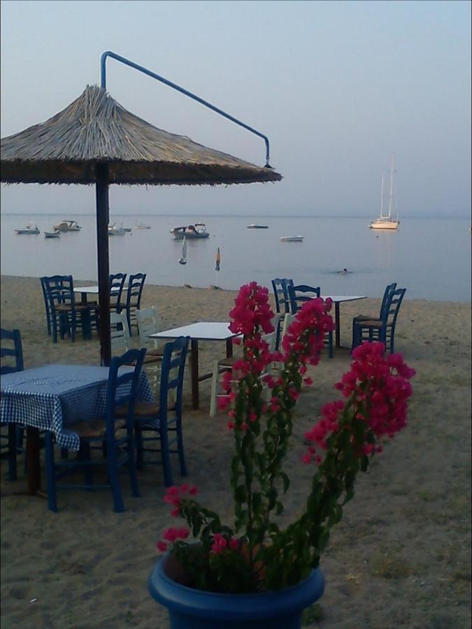 Dafni'S Home 50 Meters From The Beach Gerakini Exterior foto